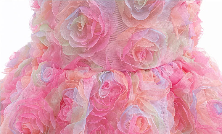 Floral Embroidered Elbise